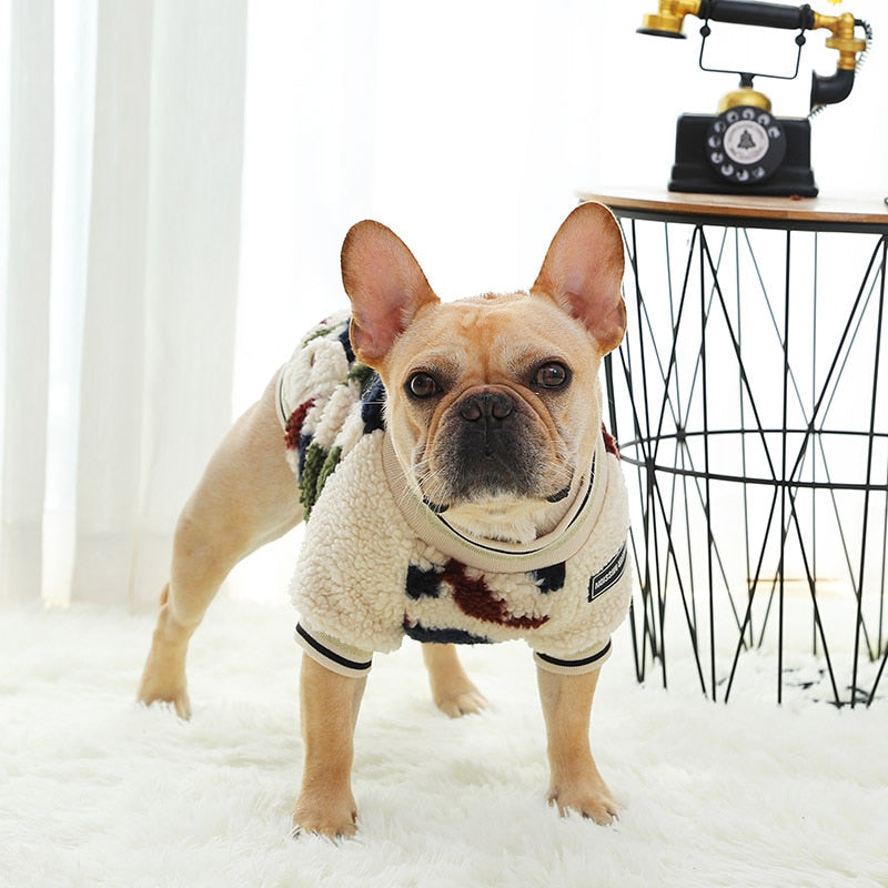 French Bulldog Winter Winter Jacket for Training Sessions-fadou