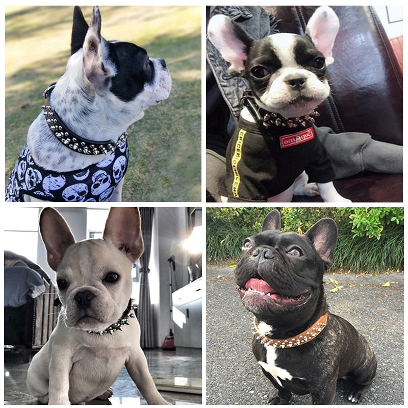 Frenchie Adjustable Adjustable Collar for French Bulldogs-fadou