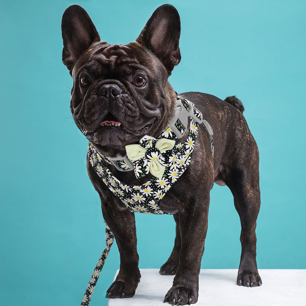 French Bulldog Printed Walking Harness for French Bulldogs-fadou