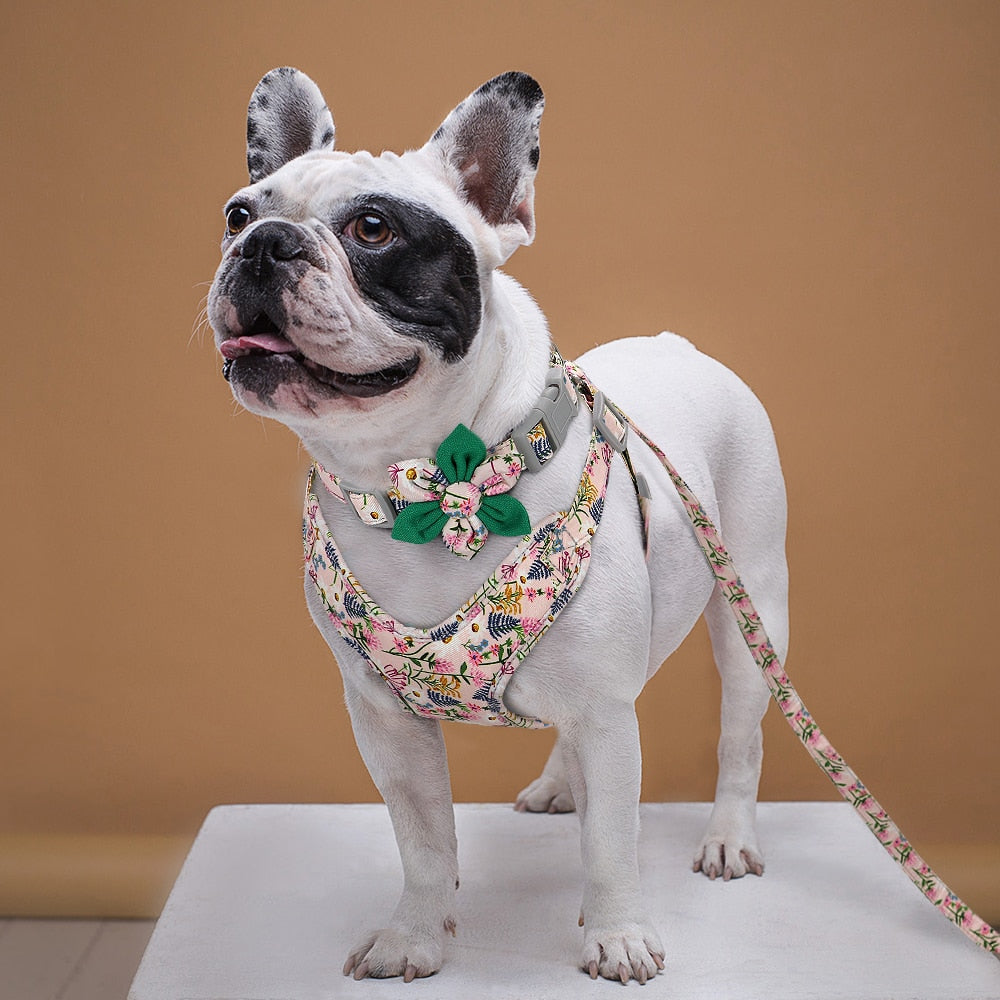 French Bulldog Printed Walking Harness for French Bulldogs-fadou