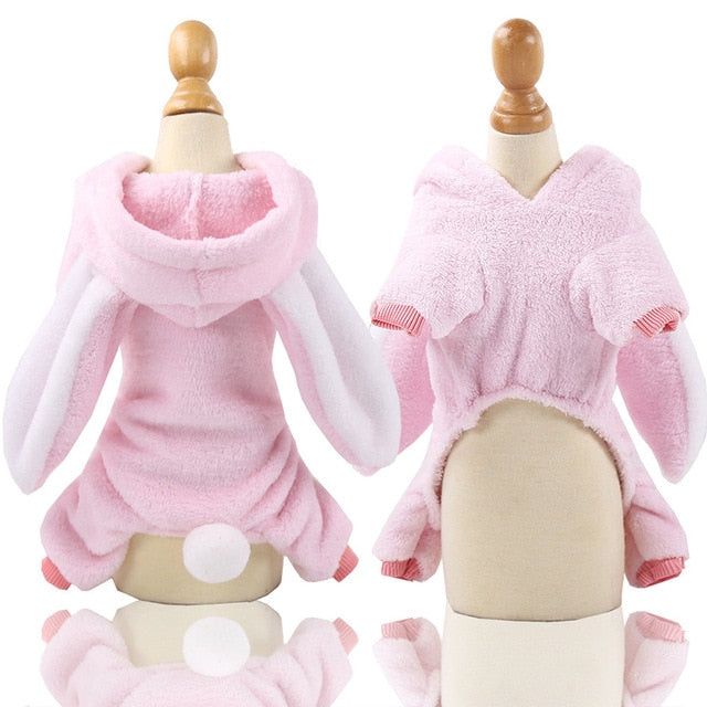 Stylish Frenchie Jumpsuits for Frenchie Fans Everywhere-fadou