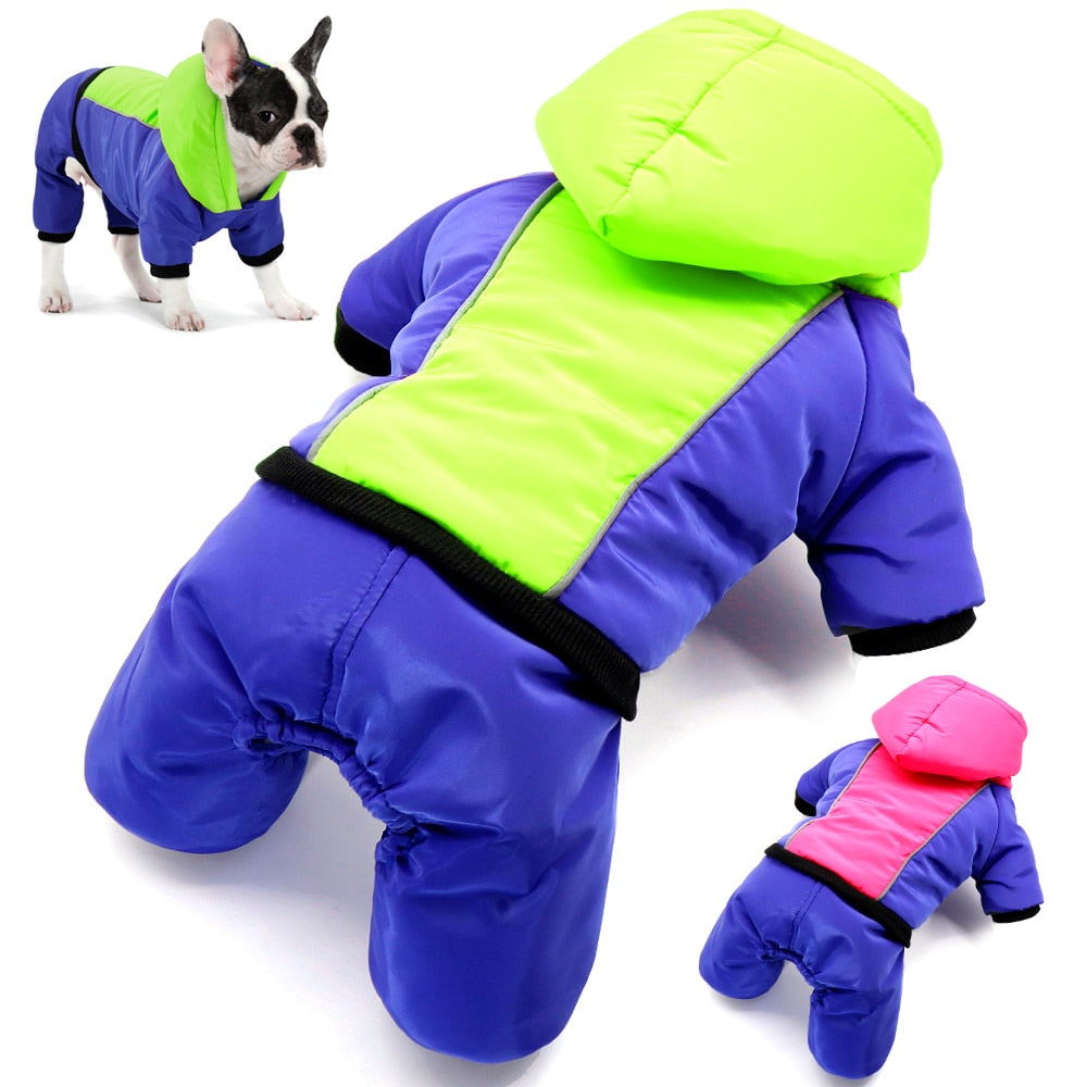 Luna French Bulldog Winter Jacket for Training Sessions-fadou