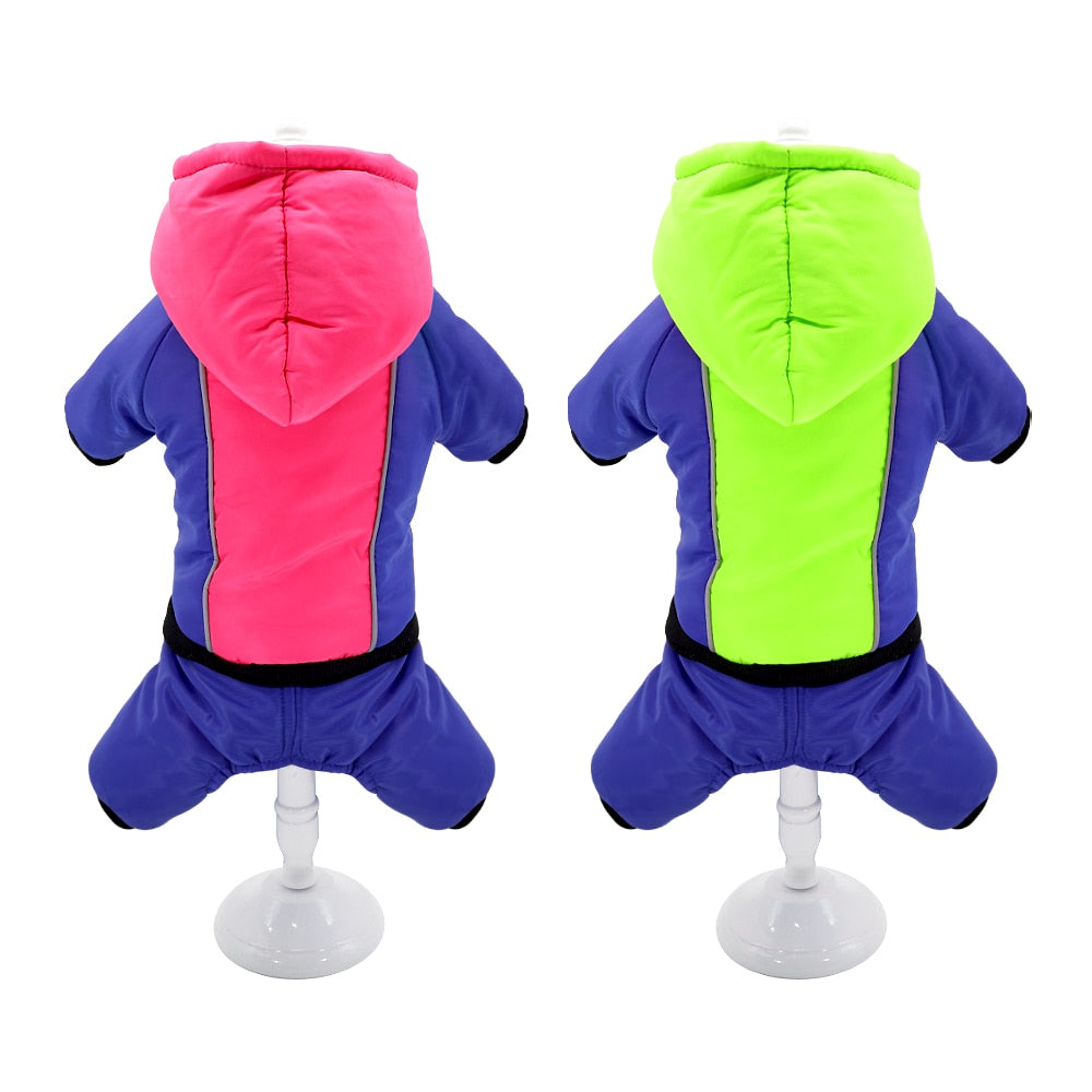 Luna French Bulldog Winter Jacket for Training Sessions-fadou