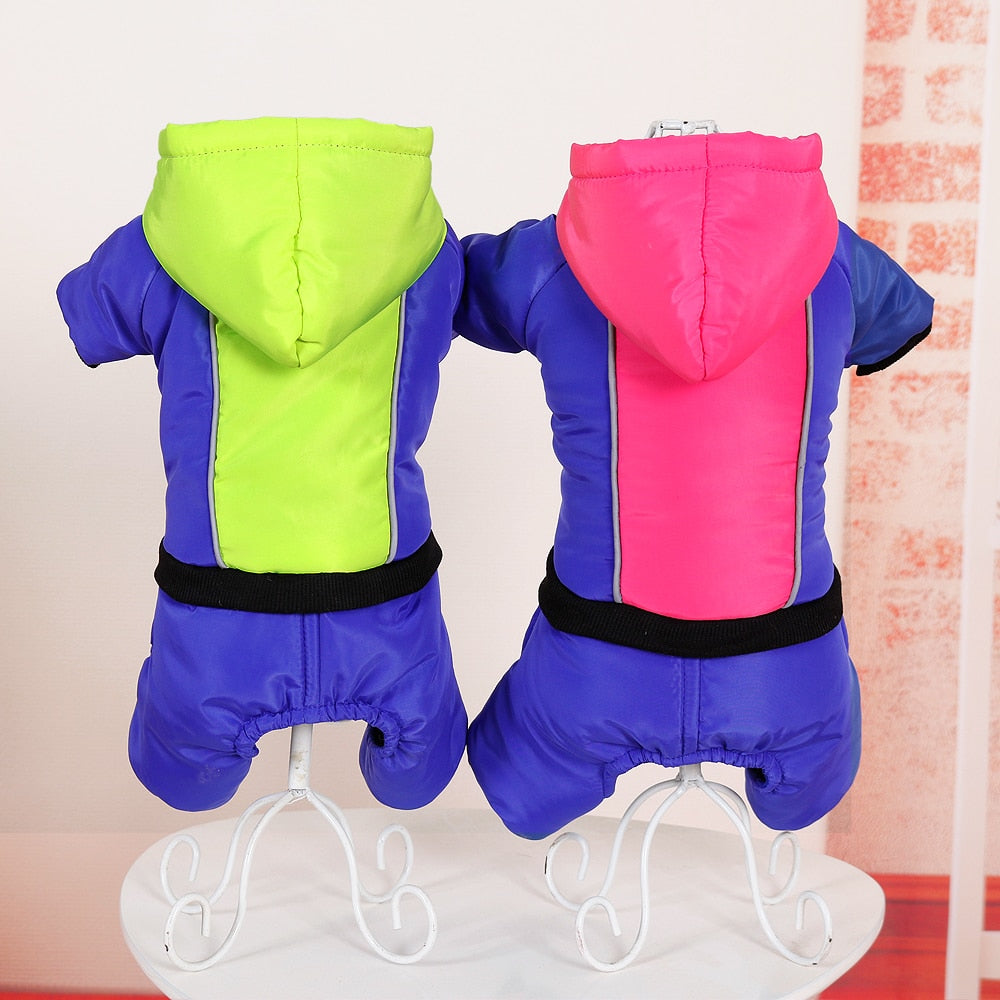 Luna French Bulldog Winter Jacket for Training Sessions-fadou