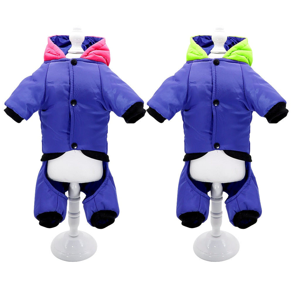 Luna French Bulldog Winter Jacket for Training Sessions-fadou