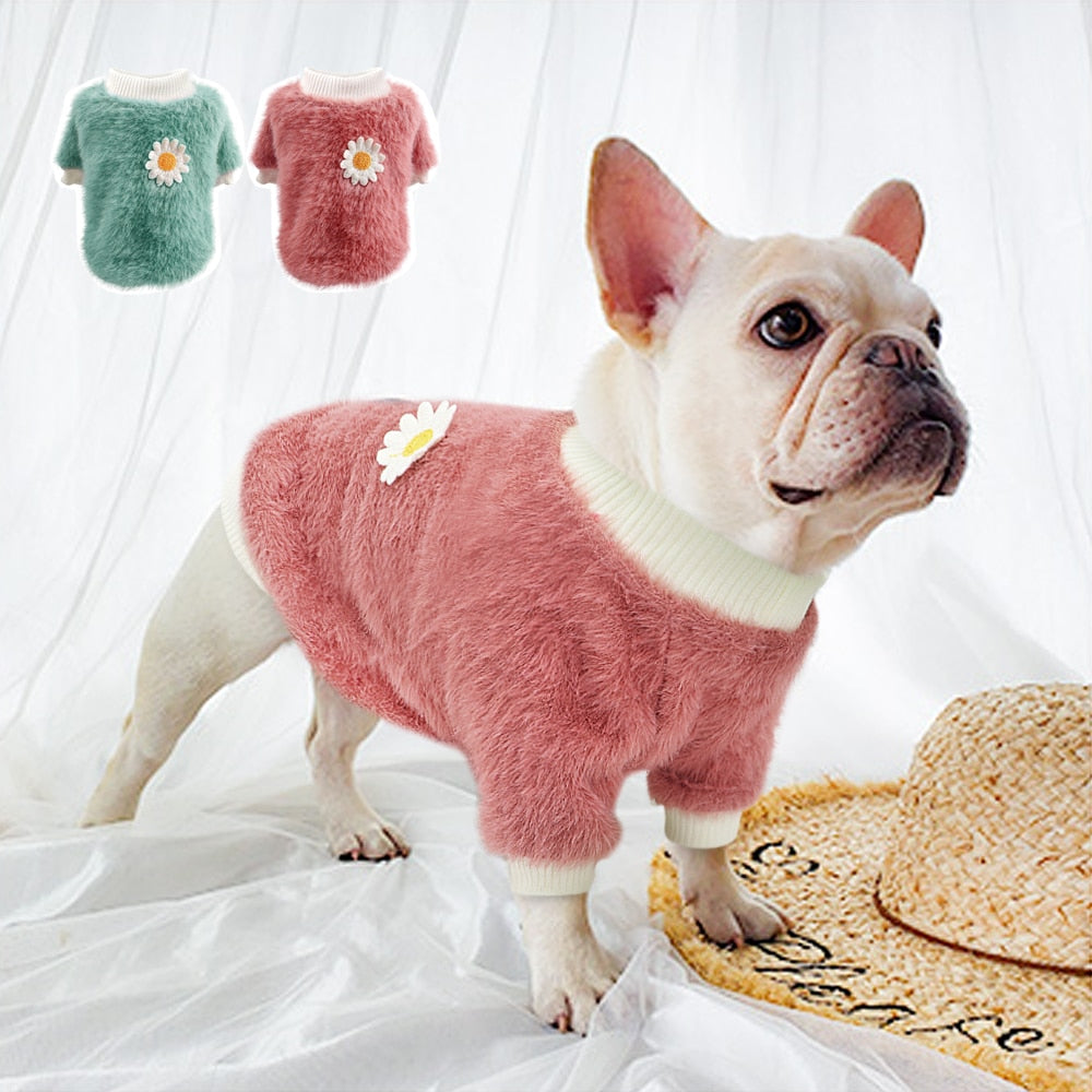 French Bulldog Winter Pet Product for Brachycephalic Dogs-fadou