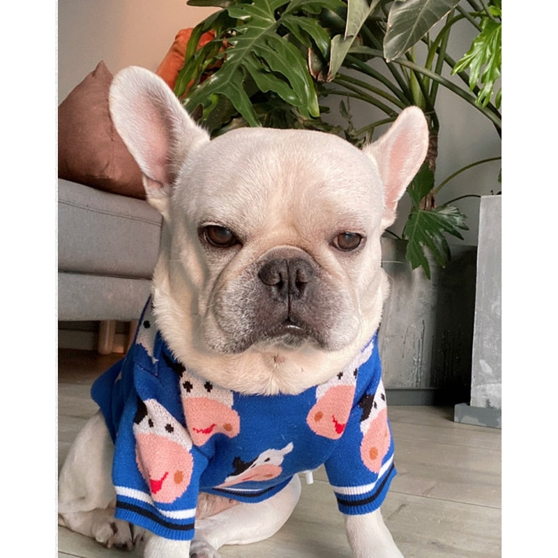 French Bulldog Winter Knit Sweater for Flat-Face Breeds-fadou