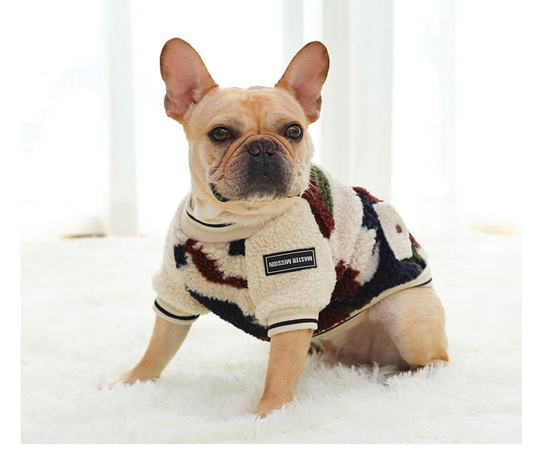 French Bulldog Winter Winter Jacket for Training Sessions-fadou