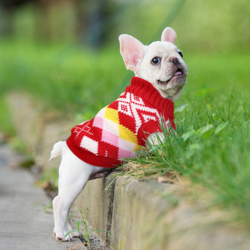 French Bulldog Winter Warm Knitwear for Training Sessions-fadou