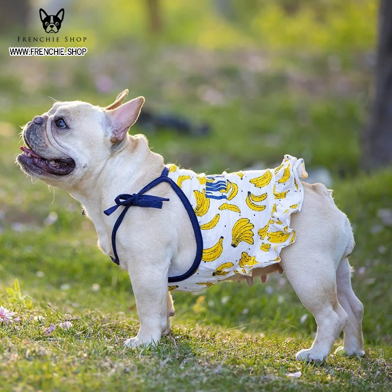 French Bulldog Summer Summer Dress for Flat-Face Breeds-fadou