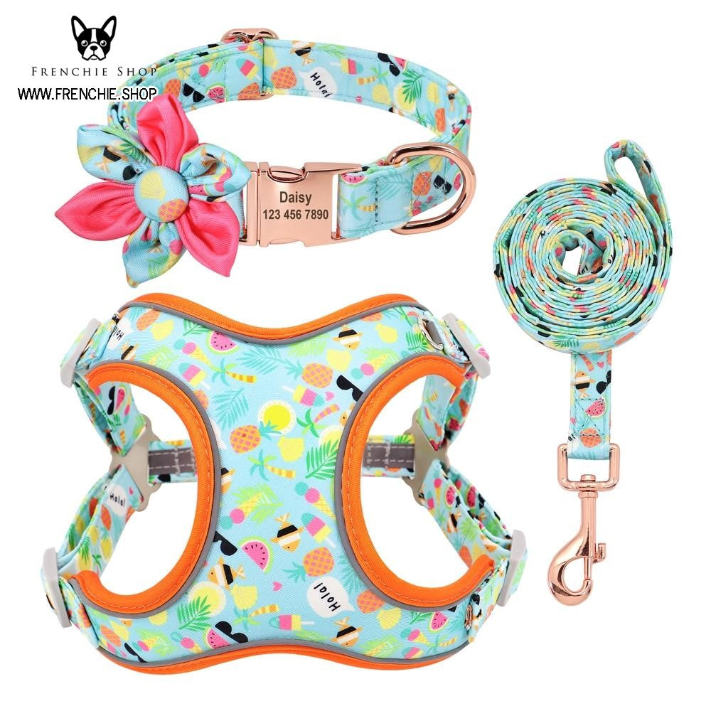 Fruit French Bulldog No-Pull Vest for Training Sessions-fadou