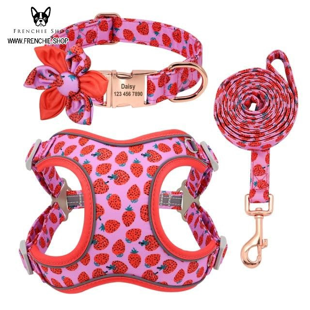 Fruit French Bulldog No-Pull Vest for Training Sessions-fadou