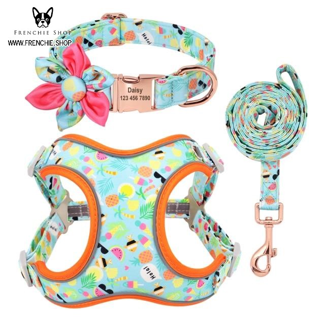 Fruit French Bulldog No-Pull Vest for Training Sessions-fadou