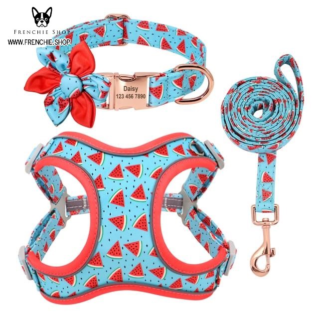 Fruit French Bulldog No-Pull Vest for Training Sessions-fadou