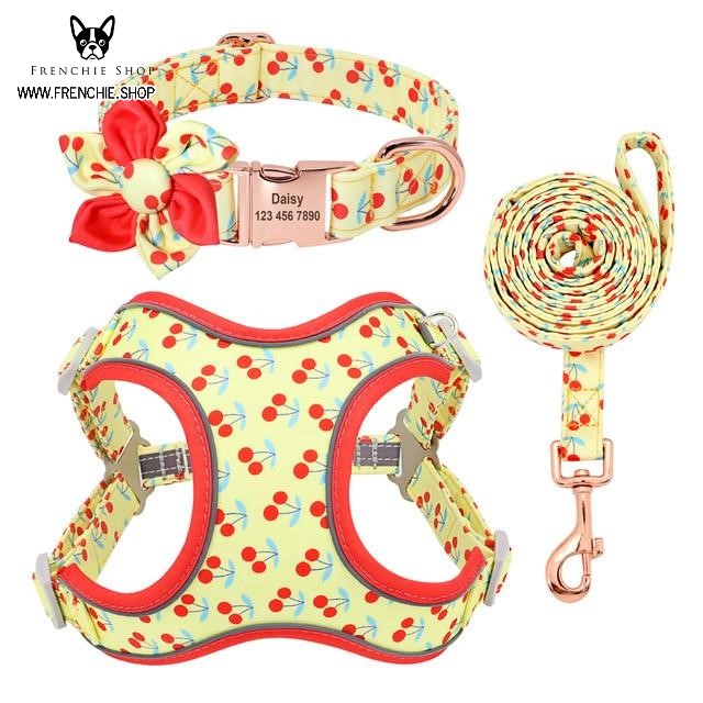 Fruit French Bulldog No-Pull Vest for Training Sessions-fadou