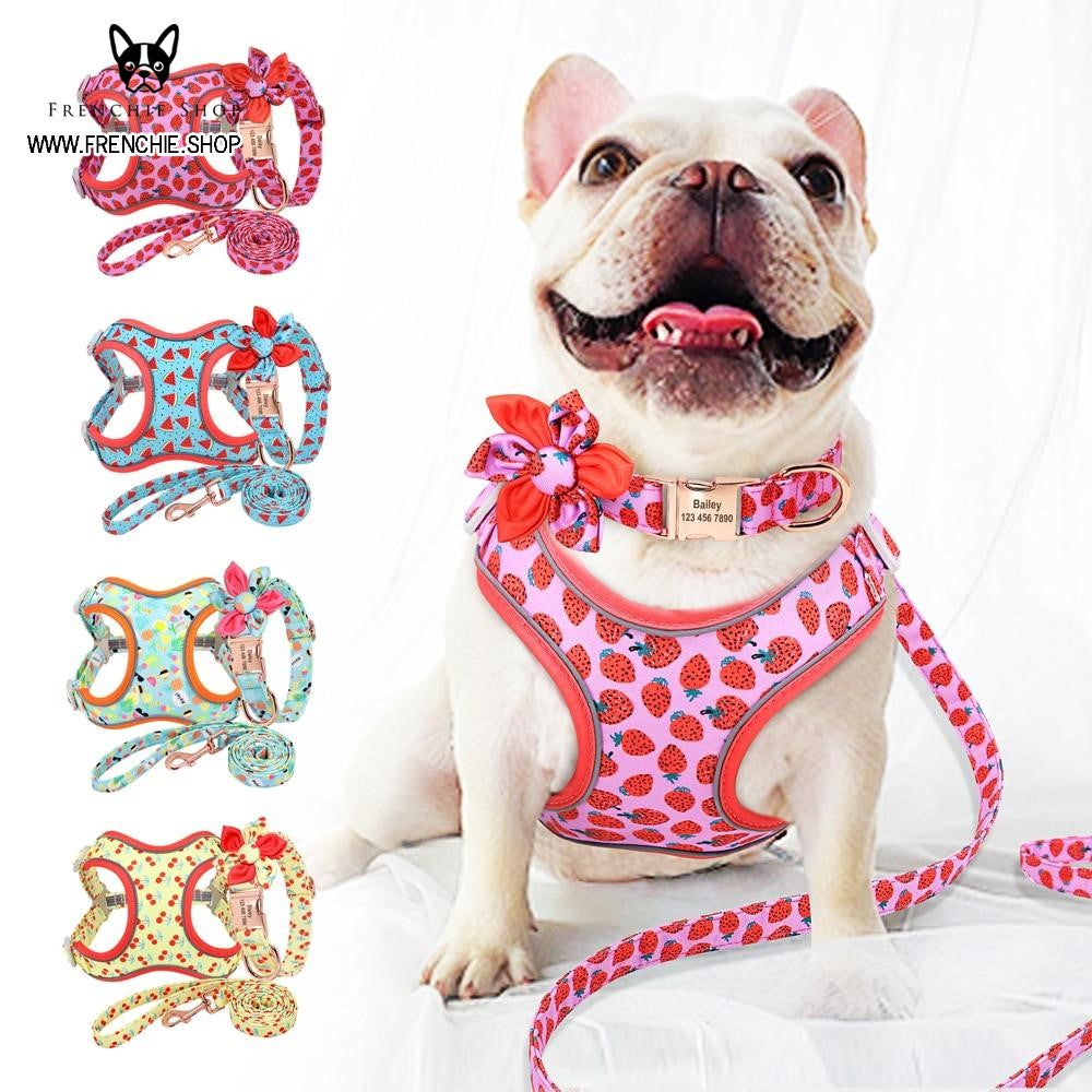 Fruit French Bulldog No-Pull Vest for Training Sessions-fadou