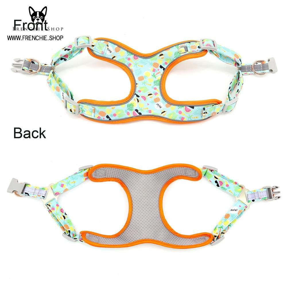 Fruit French Bulldog No-Pull Vest for Training Sessions-fadou
