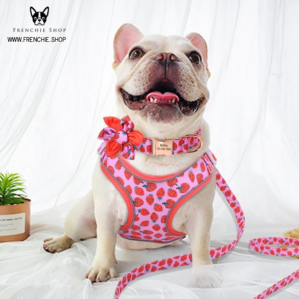 Fruit French Bulldog No-Pull Vest for Training Sessions-fadou