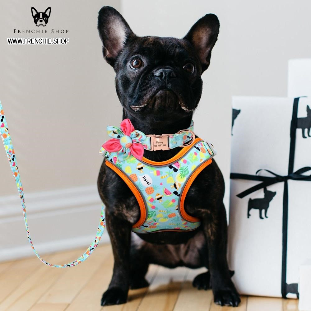 Fruit French Bulldog No-Pull Vest for Training Sessions-fadou