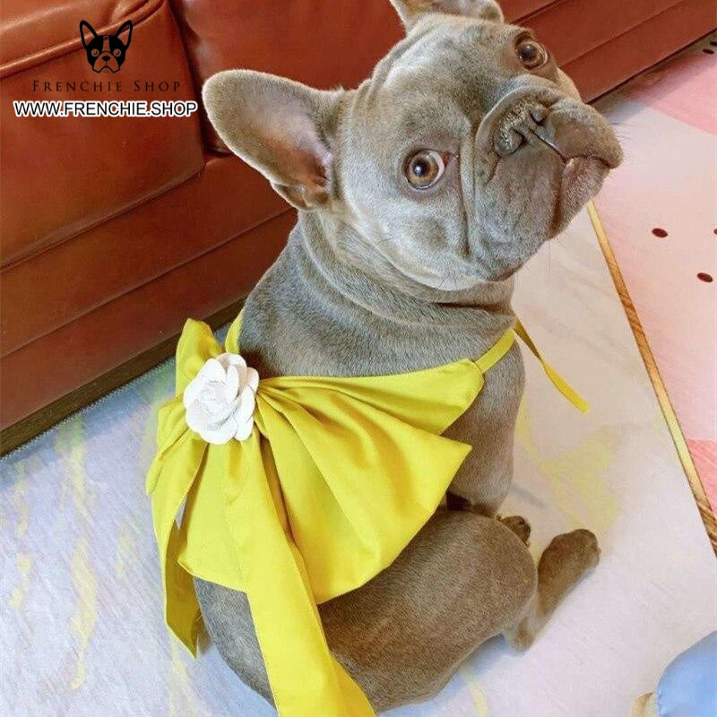 French Bulldog Stylish Product for Frenchie Enthusiasts-fadou