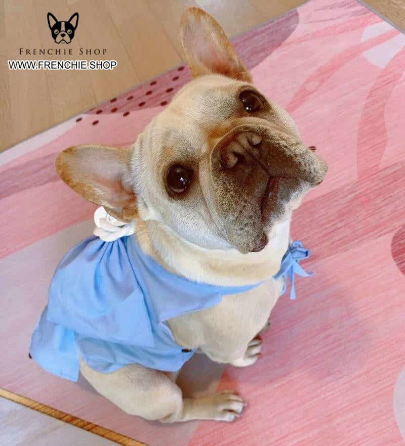 French Bulldog Stylish Product for Frenchie Enthusiasts-fadou