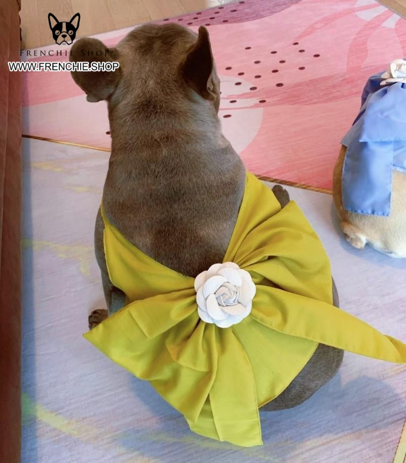 French Bulldog Stylish Product for Frenchie Enthusiasts-fadou