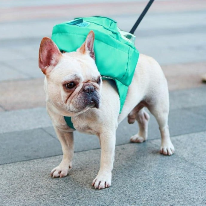 French Bulldog Stylish Carrier Bag for Flat-Face Breeds-fadou
