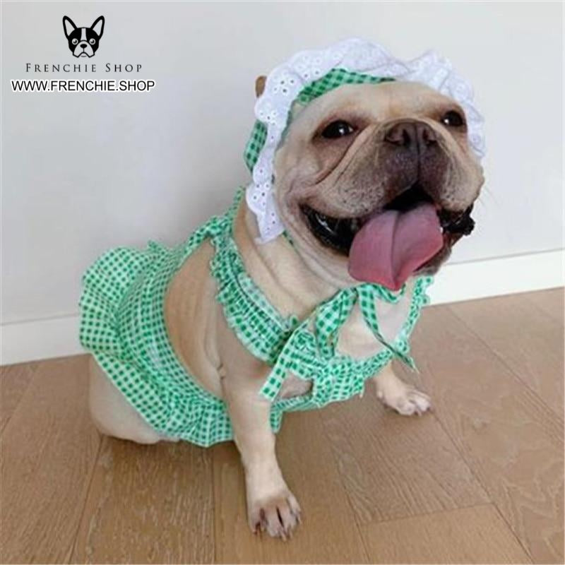 French Bulldog Summer Festive Costume for Training Sessions-fadou
