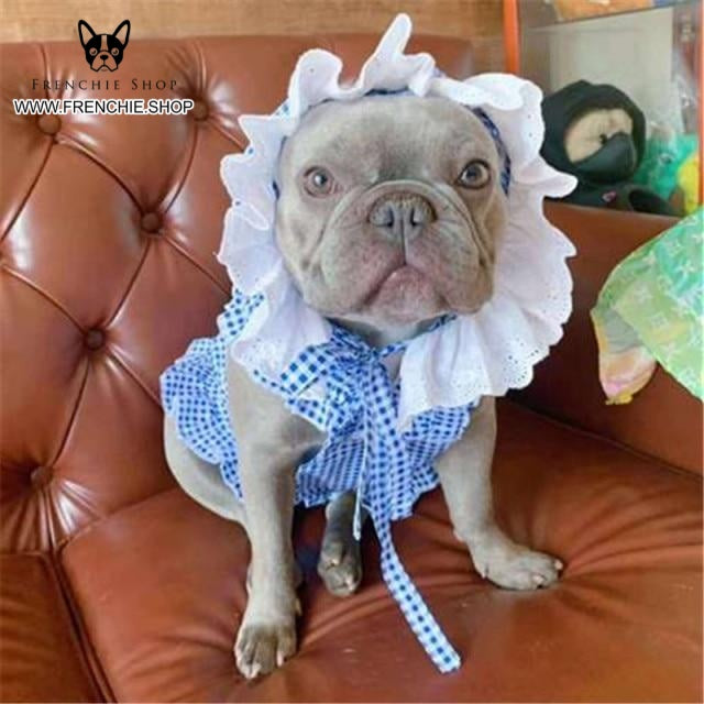 French Bulldog Summer Festive Costume for Training Sessions-fadou