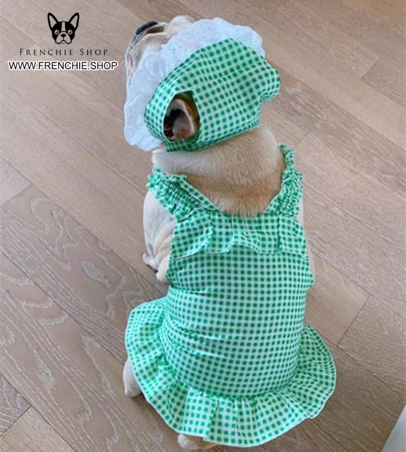 French Bulldog Summer Festive Costume for Training Sessions-fadou