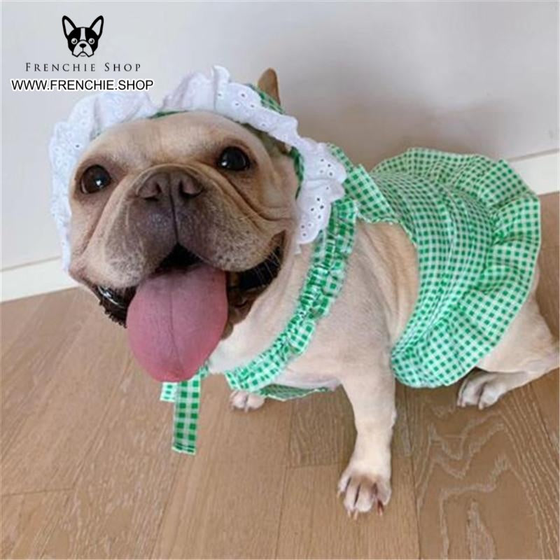 French Bulldog Summer Festive Costume for Training Sessions-fadou
