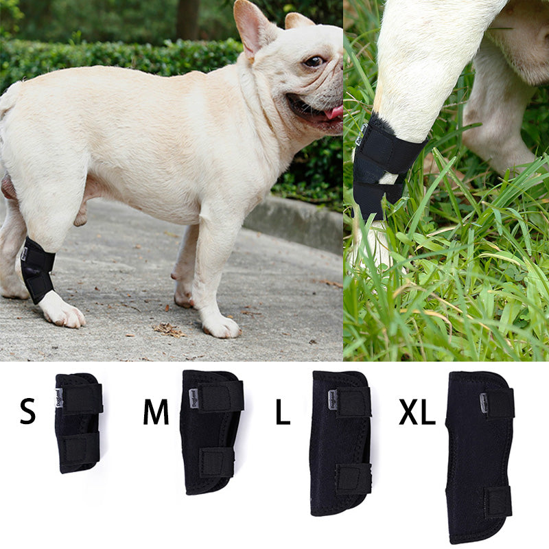 French Bulldog Absorbent Underwear for Outdoor Adventures-fadou
