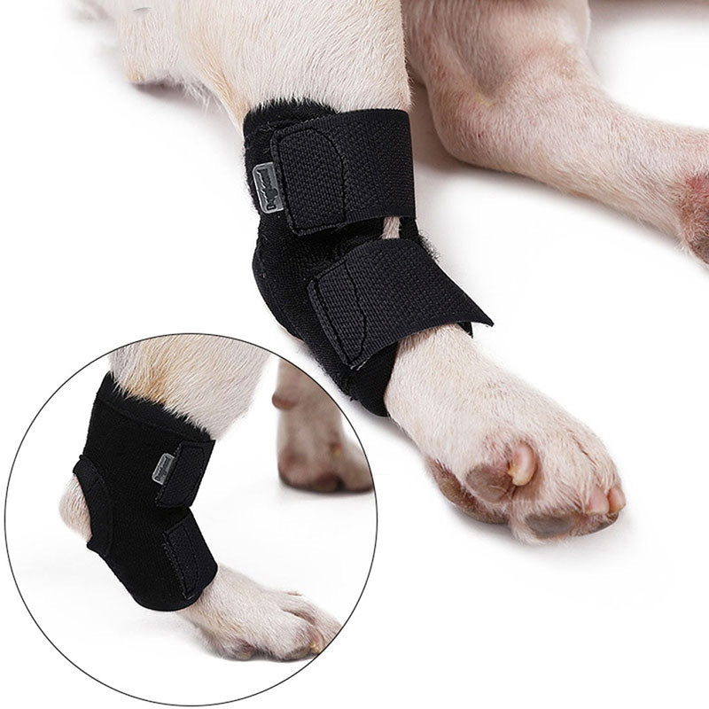 French Bulldog Absorbent Underwear for Outdoor Adventures-fadou