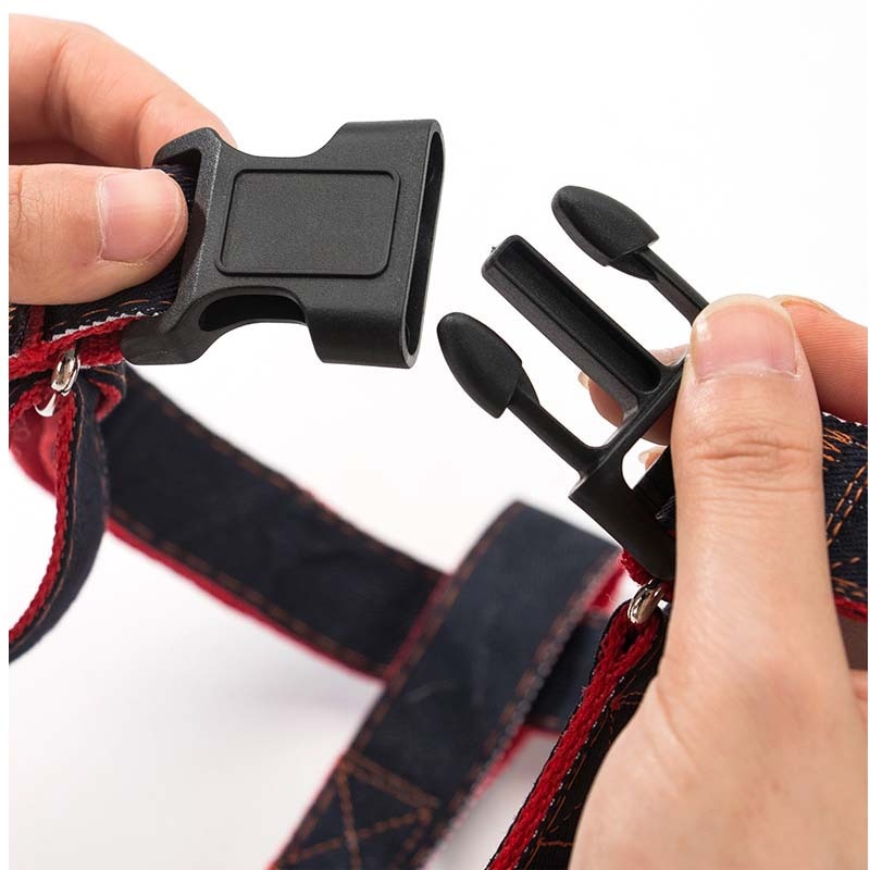 NextG™ - French Bulldog Harness Leash Set for Playtime Fun-fadou