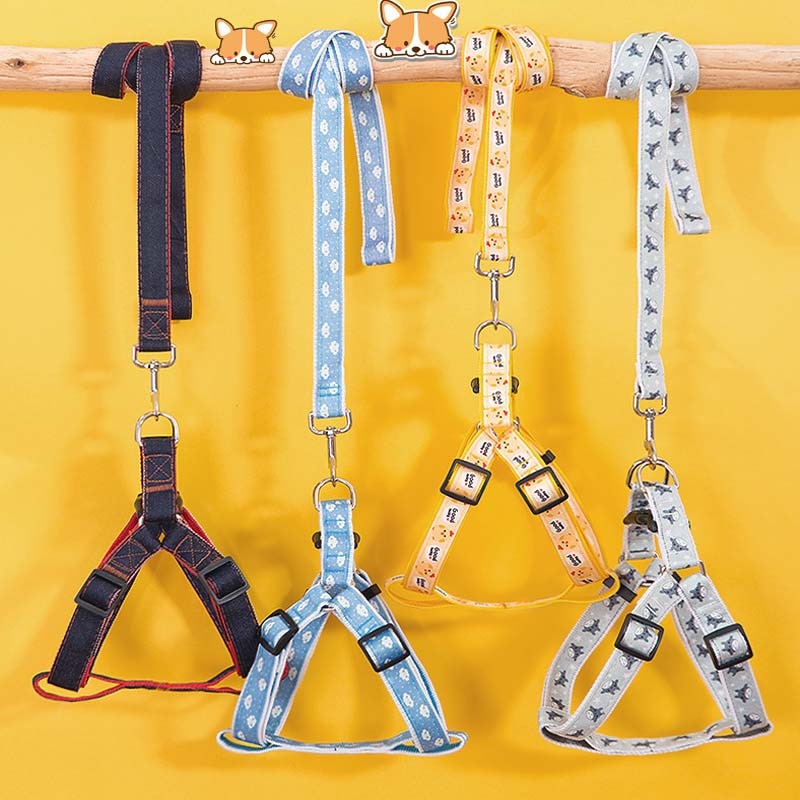 NextG™ - French Bulldog Harness Leash Set for Playtime Fun-fadou