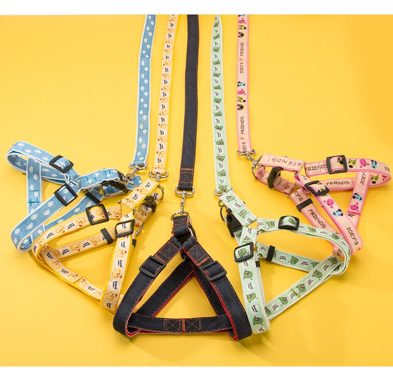NextG™ - French Bulldog Harness Leash Set for Playtime Fun-fadou