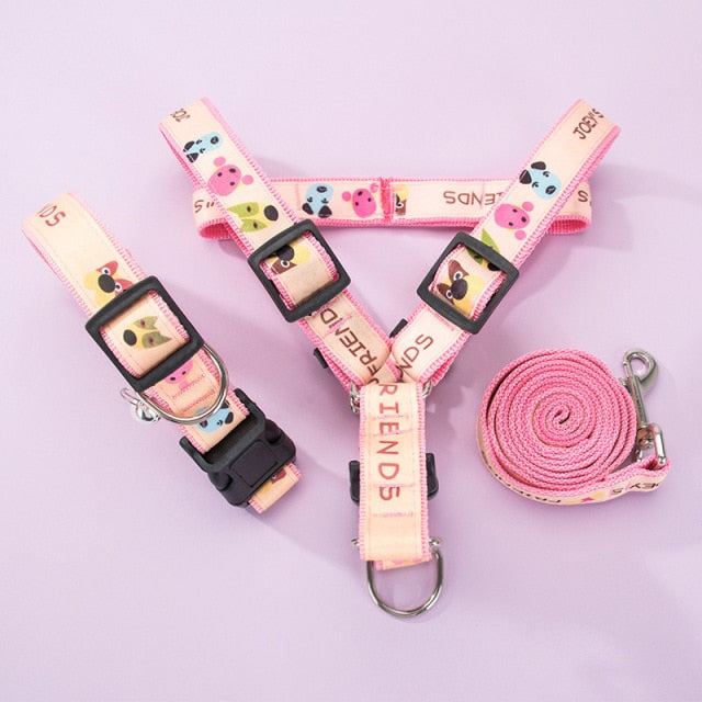 NextG™ - French Bulldog Harness Leash Set for Playtime Fun-fadou