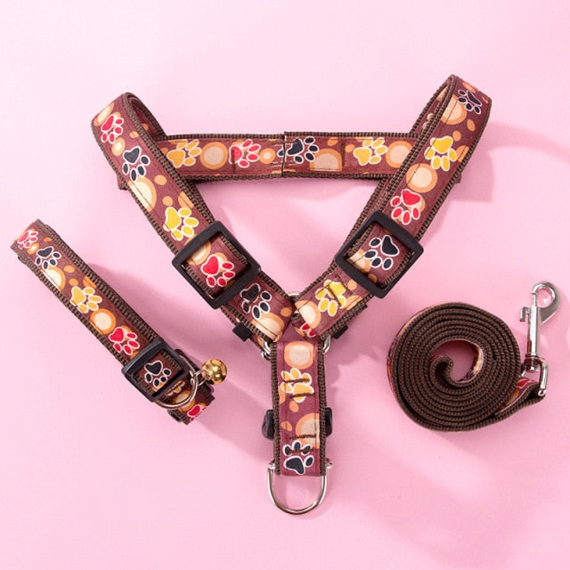NextG™ - French Bulldog Harness Leash Set for Playtime Fun-fadou