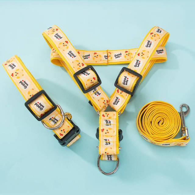 NextG™ - French Bulldog Harness Leash Set for Playtime Fun-fadou