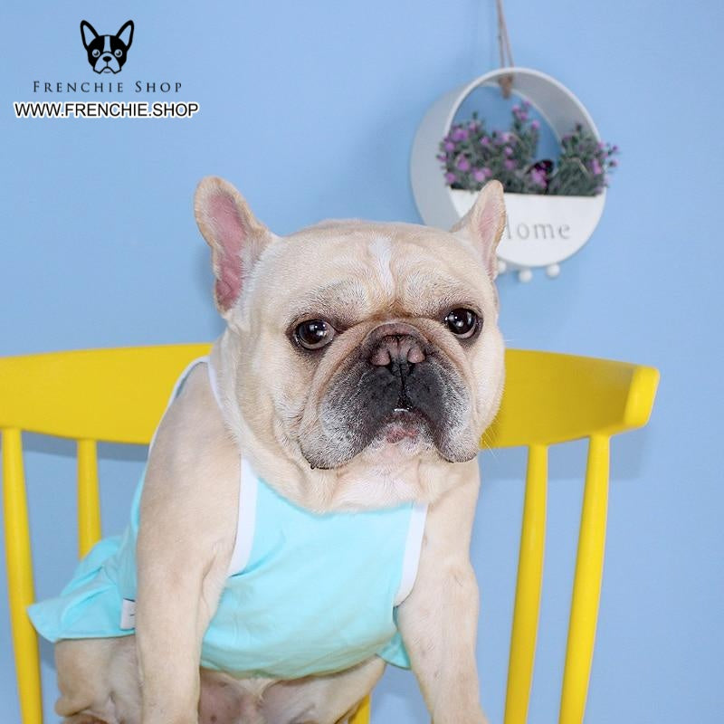 French Bulldog Summer Halloween Cosplay for French Bulldogs-fadou