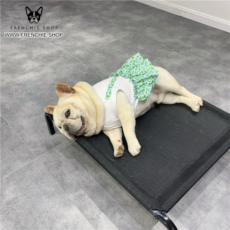 Frenchie Summer Dress Floral Design for Frenchie Enthusiasts-fadou