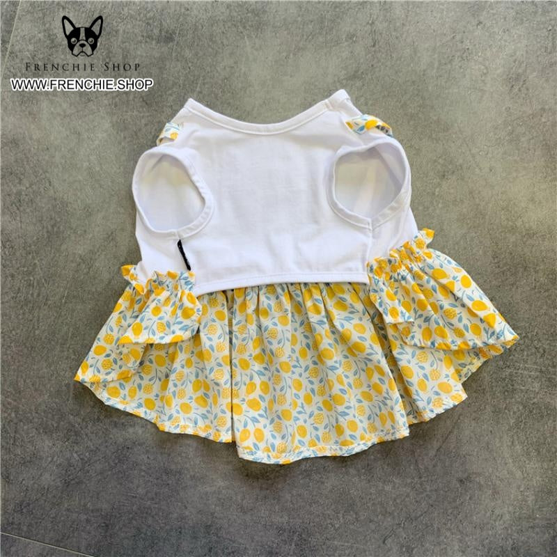 Frenchie Summer Dress Floral Design for Frenchie Enthusiasts-fadou