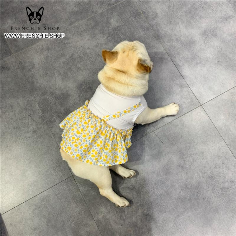 Frenchie Summer Dress Floral Design for Frenchie Enthusiasts-fadou