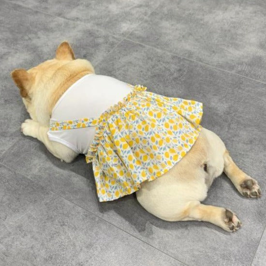 Frenchie Summer Dress Floral Design for Frenchie Enthusiasts-fadou