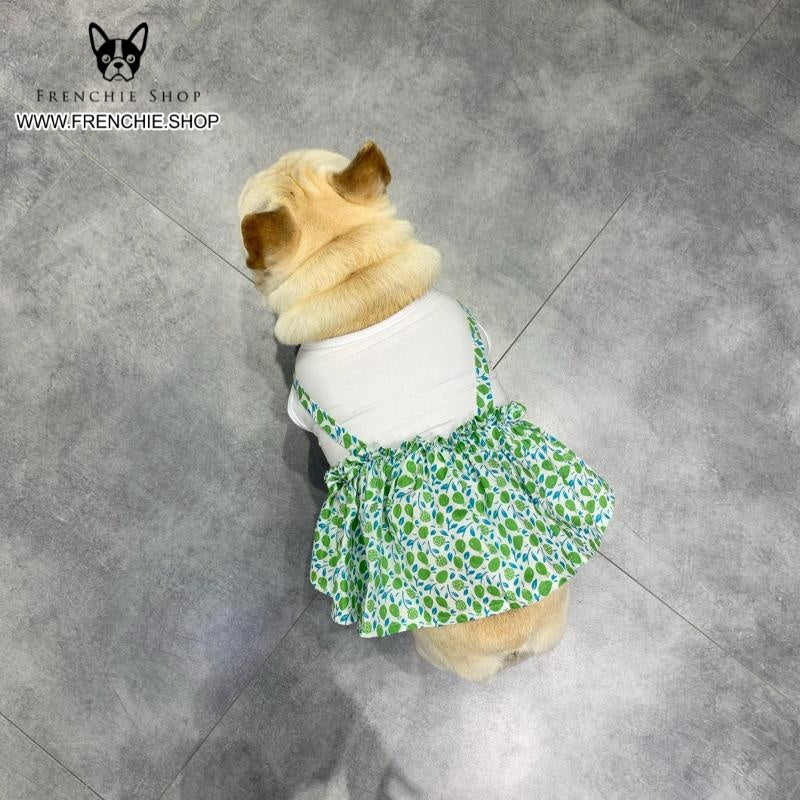 Frenchie Summer Dress Floral Design for Frenchie Enthusiasts-fadou