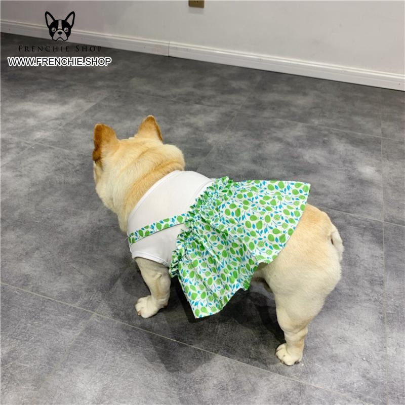 Frenchie Summer Dress Floral Design for Frenchie Enthusiasts-fadou
