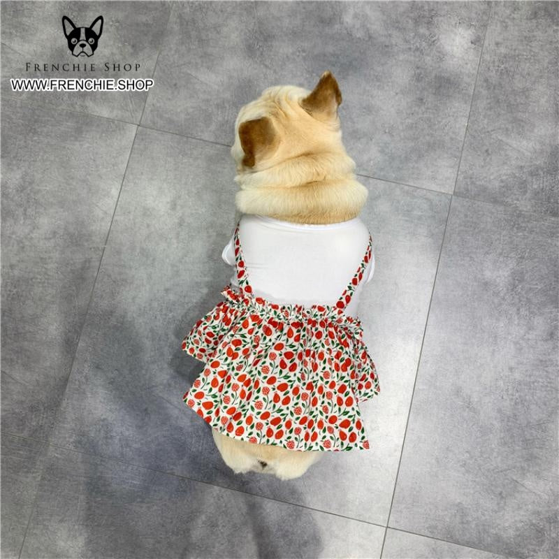 Frenchie Summer Dress Floral Design for Frenchie Enthusiasts-fadou