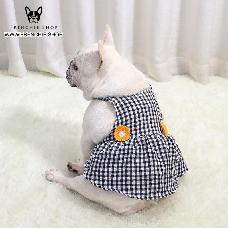 French Bulldog Trendy Accessory for Frenchie Enthusiasts-fadou