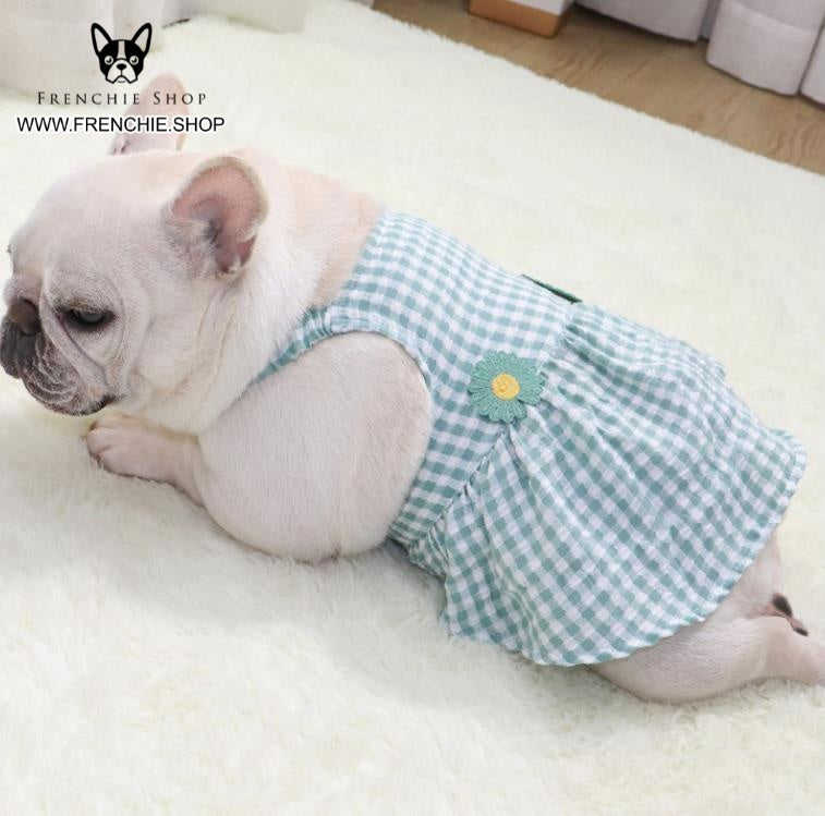 French Bulldog Trendy Accessory for Frenchie Enthusiasts-fadou