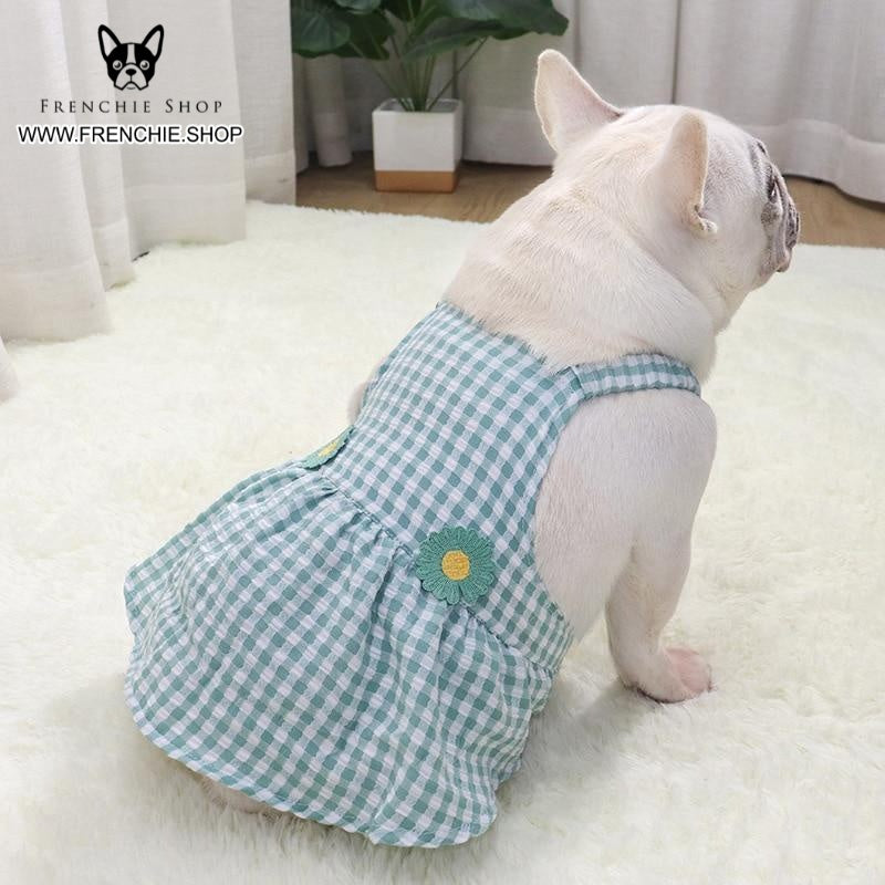 French Bulldog Trendy Accessory for Frenchie Enthusiasts-fadou